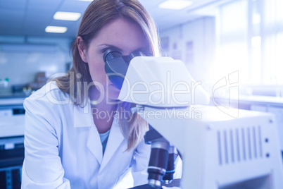 Scientist working with a microscope in laboratory Scientist working with a microscope in laboratory