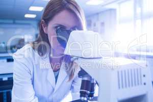 Scientist working with a microscope in laboratory