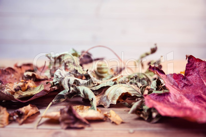 Autumn leaves on desk