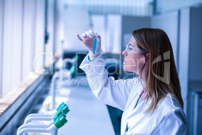 Scientist looking at test tube in the laboratory