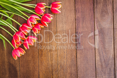 Few beautiful red flowers against wood plank