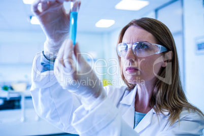 Scientist looking at test tube in the laboratory