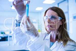 Scientist looking at test tube in the laboratory