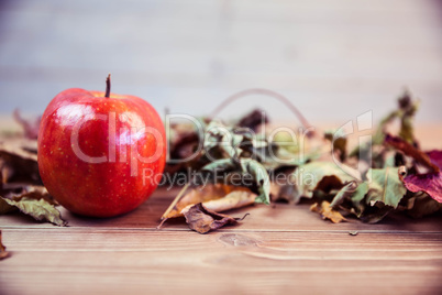 Red apple with autumn leaves