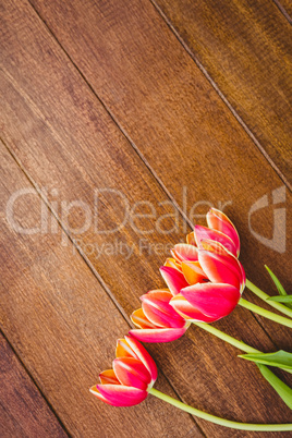 Few beautiful red flowers against wood plank
