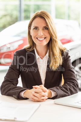 Smiling saleswoman working at her desk