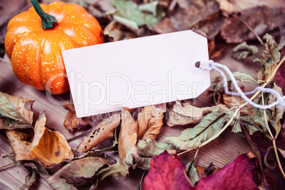Autumnal leaf pattern on desk with tag