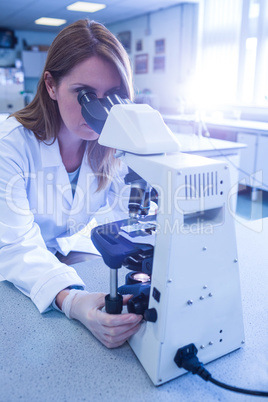 Scientist working with a microscope in laboratory