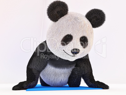 twine stretching character fluffy fur panda