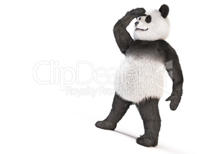 chineese cheerful character panda fluffy teddy