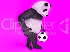 touching cute panda soccer player. chasing a soccer ball on foot on purple background. juggling ball bear.