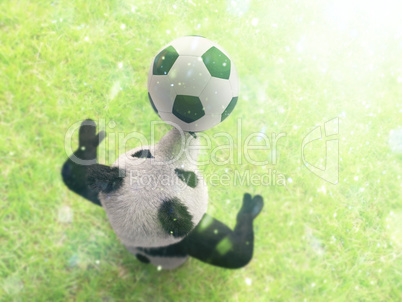 character circus bamboo bear giant panda standing spreading legs to sides chasing ball on his nose. professional football player on background of grass top view with bokeh effect