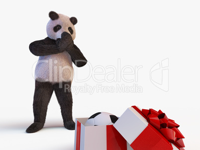 joyful cute protagonist character giant panda bamboo stands and looks at half-open box with a gift inside of which is new soccer ball. surprise birthday closes muzzle paws