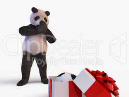 joyful cute protagonist character giant panda bamboo stands and looks at half-open box with a gift inside of which is new soccer ball. surprise birthday closes muzzle paws