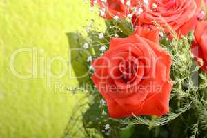 Red roses bouquet, flowers bouquet