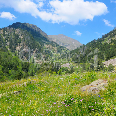 scenic mountains, meadows and blue sky