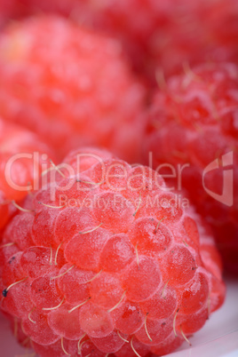 Fresh sweet raspberries close up.