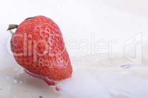 Close up strawberry, food concept