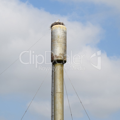 Stork on a roof of the water tower