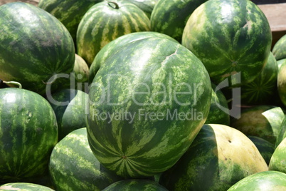 Water-melons on a counter