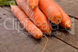 Rich harvest, organic carrots