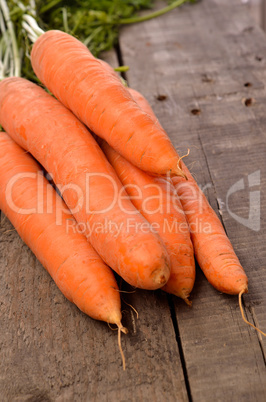 Fresh organic carrots