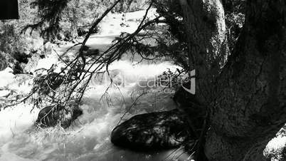 the rough mountain river with pure water it is black white shooting