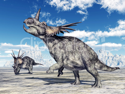 Dinosaurier Styracosaurus