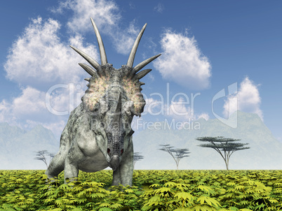 Dinosaurier Styracosaurus