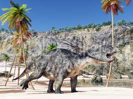 Dinosaurier Styracosaurus