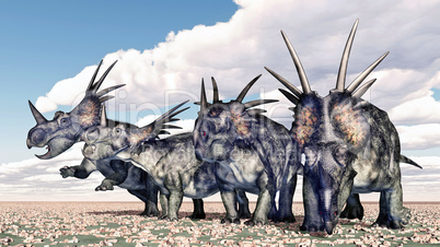 Dinosaurier Styracosaurus