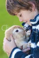 Male Boy Child Playing With Pet Rabbit