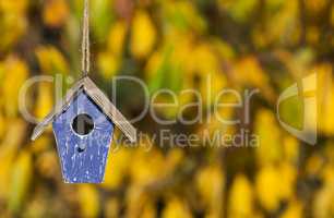 Bird House in Autumn Fall Sunshine & Golden Leaves