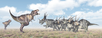 Tyrannosaurus Rex attackiert den Styracosaurus