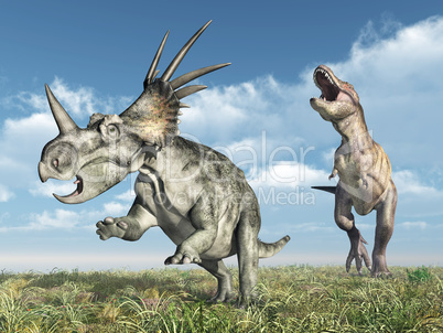 Tyrannosaurus Rex attackiert den Styracosaurus