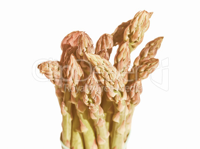 Retro looking Asparagus