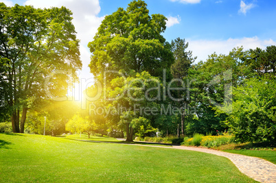 summer park with beautiful green lawns