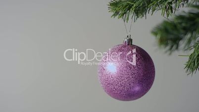 Big purple Christmas ball on the Christmas tree branch