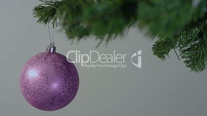 Purple Christmas ball on a tree branch
