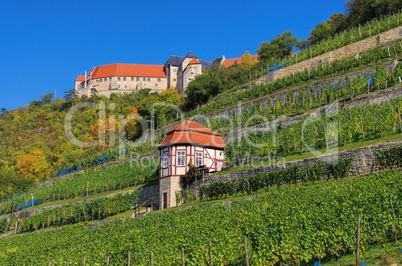 Freyburg Burg - Freyburg castle 03