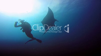 Great diving with the mantas at Socorro island in the Pacific ocean, Mexico
