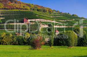 Saale Unstrut Weinberge - Saale Unstrut vineyards 05