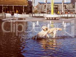 Retro look Dogs in water