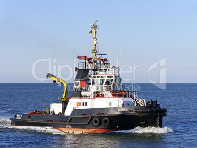 Schlepper Wulf 7