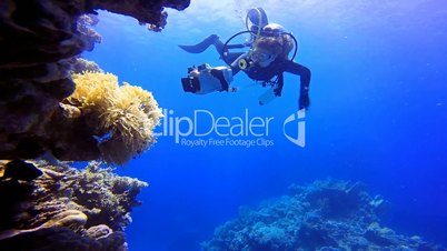 Underwater videographer, filming a symbiosis of clown fish and anemone in the Red Sea