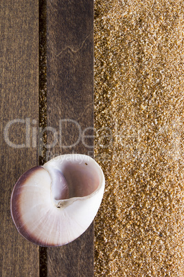 Background with beach sand