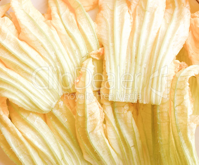 Retro looking Courgette flowers