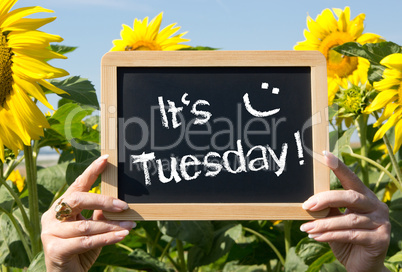 It is Tuesday