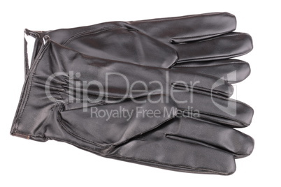 Leather Gloves Isolated