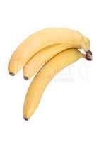 three yellow banana isolated